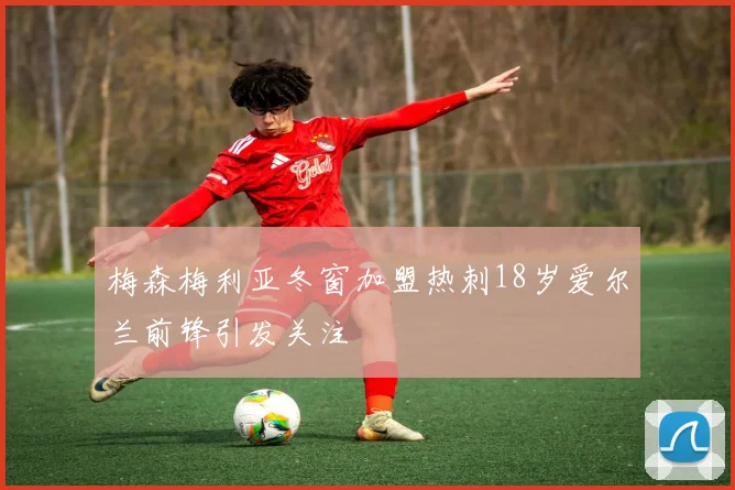 梅森梅利亚冬窗加盟热刺18岁爱尔兰前锋引发关注